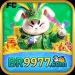 br9977 br9977 Profile Picture